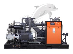 High Pressure Piston Compressor High Pressure Piston Compressor